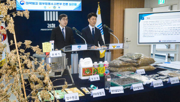 마약범죄 정부합동수사본부가 상가, 빌라 등 주거밀집지역에 전문 대마 재배시설을 갖추고 대량의 대마를 재배해 유통한 일당을 적발해 재판에 넘겼다. 신준호 합수본 제1부본부장이 12일 수원지검 브리핑실에서 기자회견을 열고 마약류관리에관한법률위반(대마) 등 혐의로 대마재배 사범 4명을 구속기소했다고 밝히고 있다.조주현기자