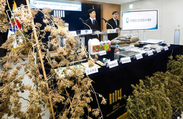 마약범죄 정부합동수사본부가 상가, 빌라 등 주거밀집지역에 전문 대마 재배시설을 갖추고 대량의 대마를 재배해 유통한 일당을 적발해 재판에 넘겼다. 신준호 합수본 제1부본부장이 12일 수원지검 브리핑실에서 기자회견을 열고 마약류관리에관한법률위반(대마) 등 혐의로 대마재배 사범 4명을 구속기소했다고 밝히고 있다.조주현기자