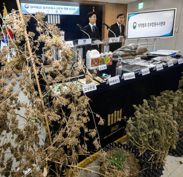 마약범죄 정부합동수사본부가 상가, 빌라 등 주거밀집지역에 전문 대마 재배시설을 갖추고 대량의 대마를 재배해 유통한 일당을 적발해 재판에 넘겼다. 신준호 합수본 제1부본부장이 12일 수원지검 브리핑실에서 기자회견을 열고 마약류관리에관한법률위반(대마) 등 혐의로 대마재배 사범 4명을 구속기소했다고 밝히고 있다.조주현기자