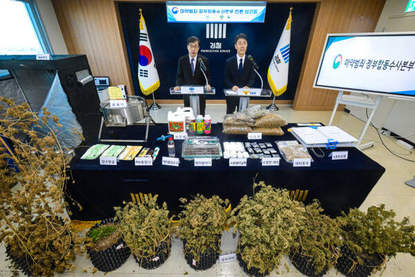 마약범죄 정부합동수사본부가 상가, 빌라 등 주거밀집지역에 전문 대마 재배시설을 갖추고 대량의 대마를 재배해 유통한 일당을 적발해 재판에 넘겼다. 신준호 합수본 제1부본부장이 12일 수원지검 브리핑실에서 기자회견을 열고 마약류관리에관한법률위반(대마) 등 혐의로 대마재배 사범 4명을 구속기소했다고 밝히고 있다.조주현기자