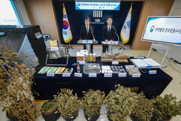 마약범죄 정부합동수사본부가 상가, 빌라 등 주거밀집지역에 전문 대마 재배시설을 갖추고 대량의 대마를 재배해 유통한 일당을 적발해 재판에 넘겼다. 신준호 합수본 제1부본부장이 12일 수원지검 브리핑실에서 기자회견을 열고 마약류관리에관한법률위반(대마) 등 혐의로 대마재배 사범 4명을 구속기소했다고 밝히고 있다.조주현기자