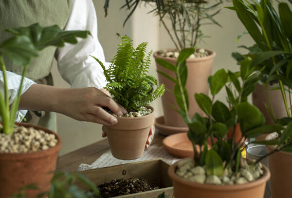 기사의 이해를 돕기 위한 이미지로 기사와 직접적 연관은 없습니다. 클립아트코리아