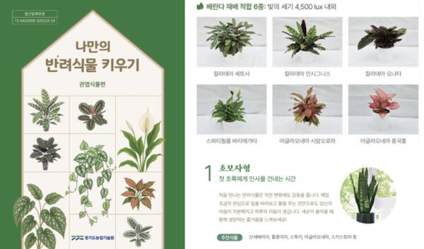 경기도농업기술원의 ‘나만의 반려식물 키우기’ 매뉴얼. 나만의 반려식물 키우기 갈무리