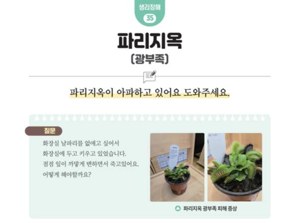 “날파리를 없애고 싶어 화장실에 두고 키우던 파리지옥이 죽어간다”는 내용의 실제 상담 사례. 2025 경기도 사이버식물병원 상담사례집 갈무리