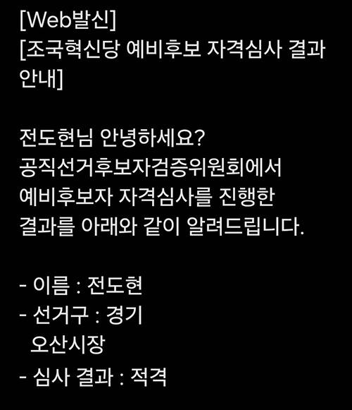 조국혁신당 중앙당 예비후보 자격심사 결과 안내문. 전 위원장 페이스북 캡처