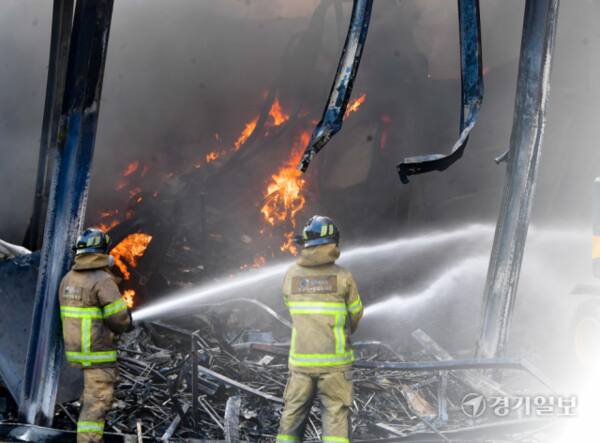 기사 내용을 바탕으로 AI를 통해 제작된 일러스트. 경기일보 AI 뉴스 이미지