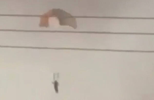 쿠웨이트가 이란인 줄 알고 미군 전투기 3대나 격추한 거 ㄹㅇ임?