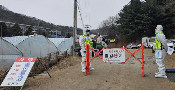 포천시 조류인플루엔자(AI) 발생 농가 입구에서 방역당국이 출입을 통제하고 있다. 손지영기자
