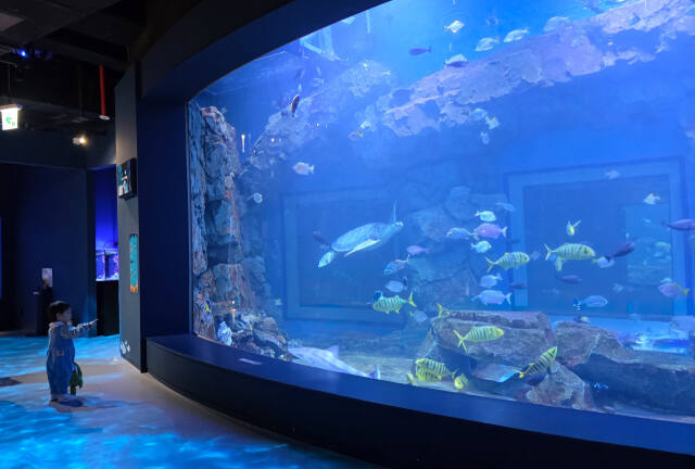 해양생태과학관. 경기관광공사 제공