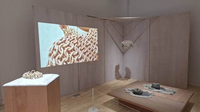 세실 켐페링크 작가의 작품 전경. 이나경기자