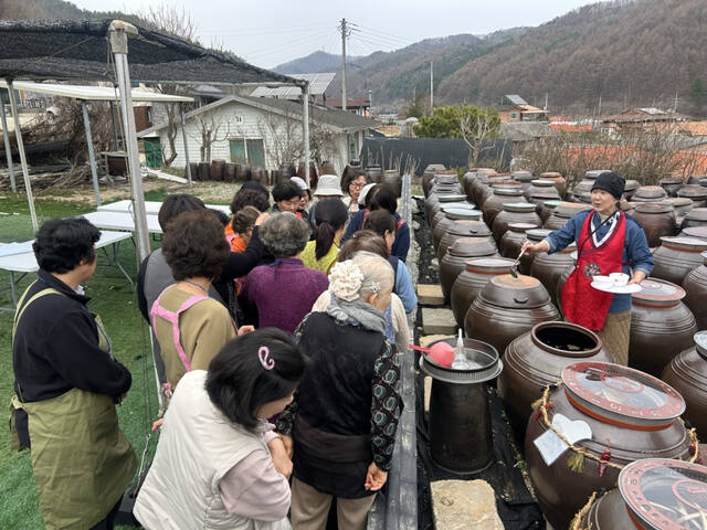 생활개선양평군연합회 분과 교육 ‘발효음식반’ 수업하는 모습. 양평군 제공