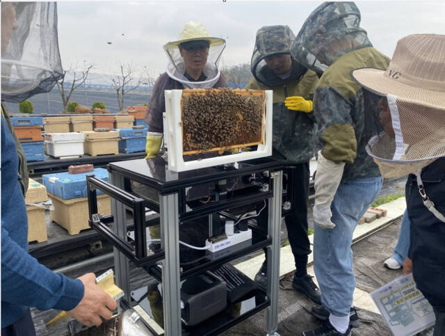 평택시, ‘꿀벌 폐사 주범’ 응애 잡는다…AI 검출 기술 실증
