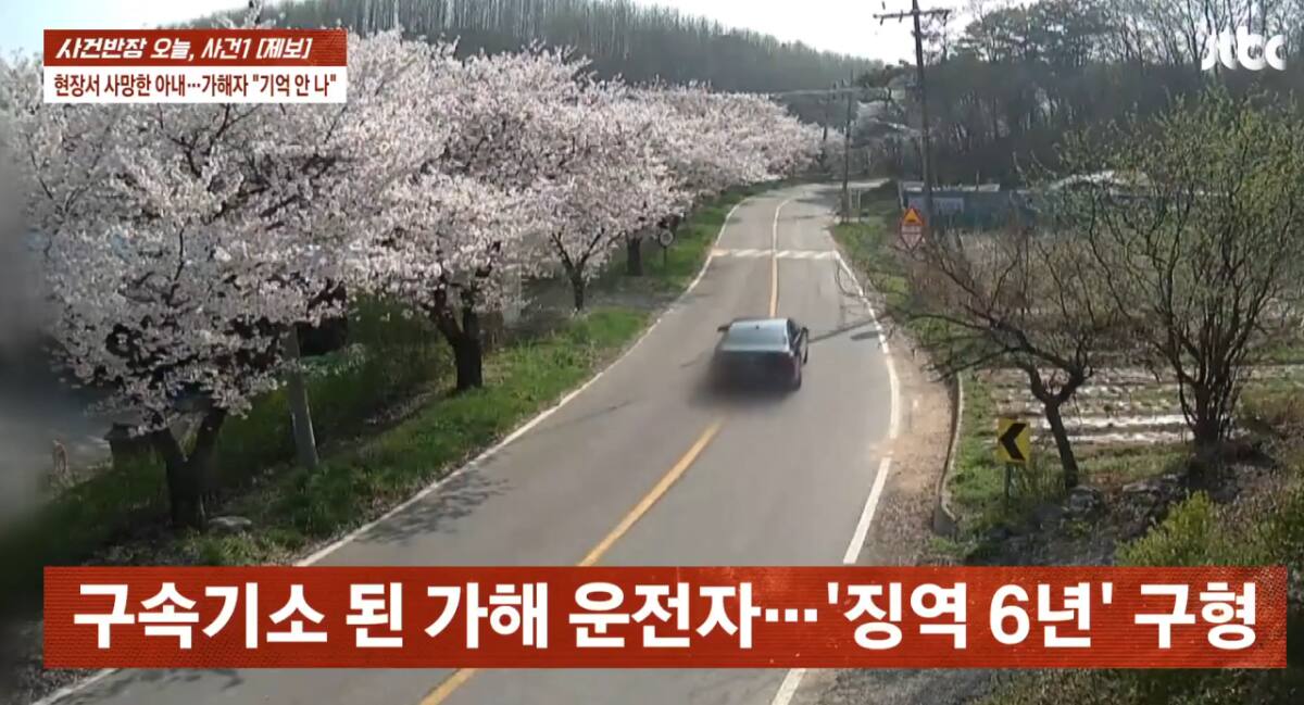 동창회서 담금주 7잔 마시고 운전대 잡았다가 부부 덮친 참혹한 결과