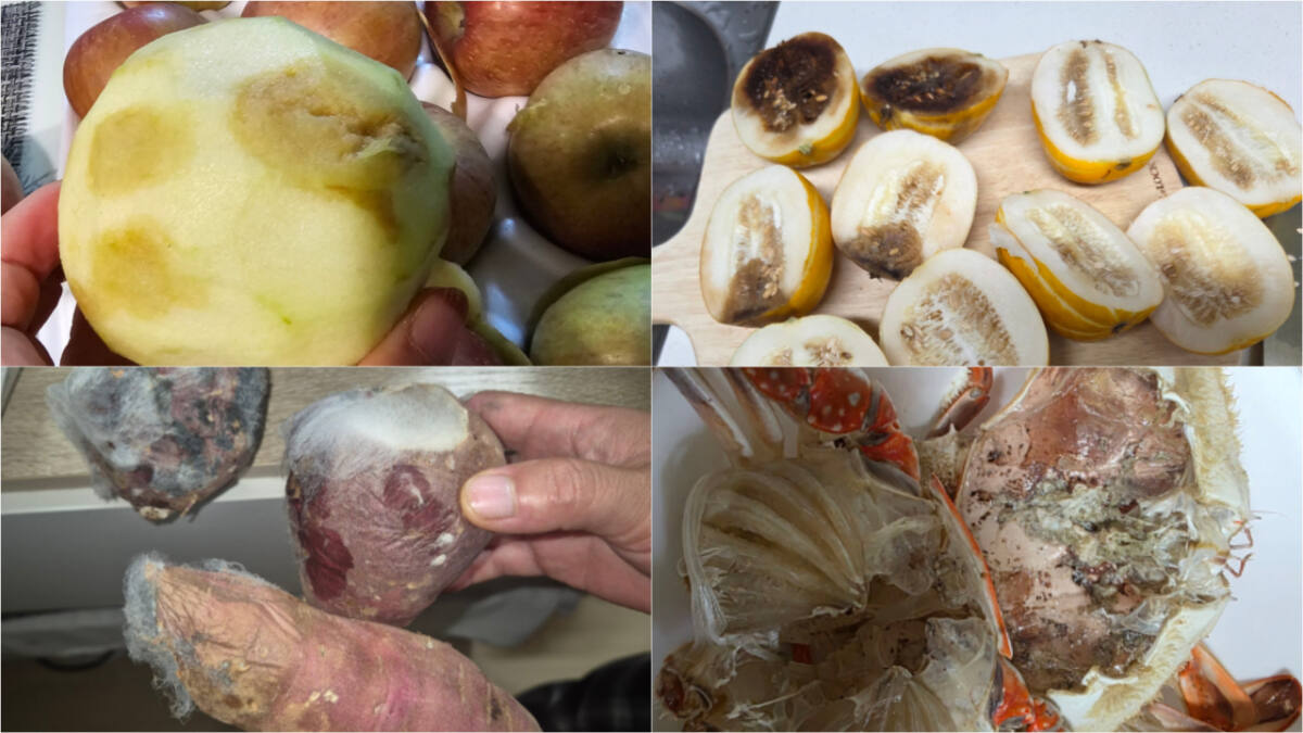 "한 달 지나도 참외 안 와"...인천 농수산물 온라인 판매업체 '소비자 ... - 뉴스 썸네일 이미지