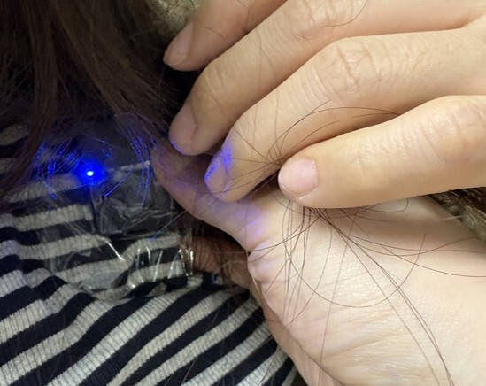 중국인 101명, 토픽 대리시험 의뢰…서울 주요 대학·장학금까지 챙겼다