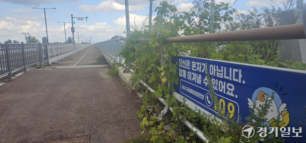 끊이지 않는 평택 교량 추락 사고...예방대책은 여전히 '안내판' - 뉴스 썸네일 이미지
